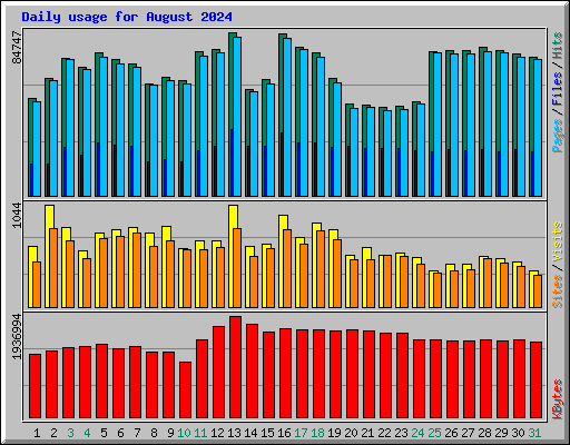 Daily usage for August 2024