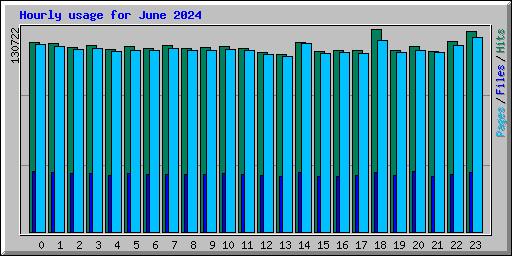 Hourly usage for June 2024