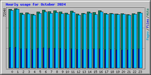 Hourly usage for October 2024